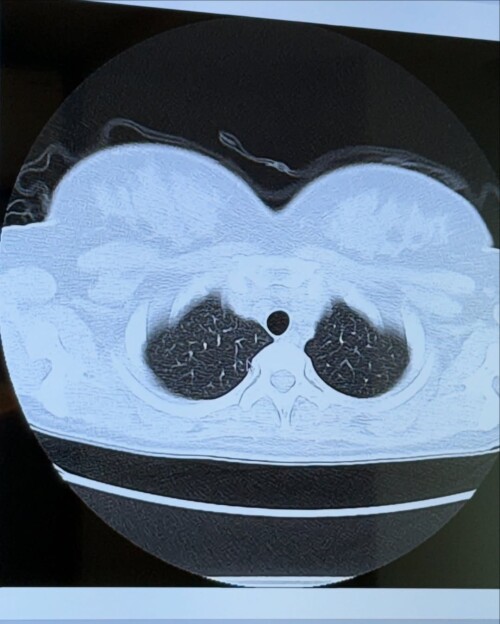 jun.amaki-02-02-2025-00037358c765870e2af2