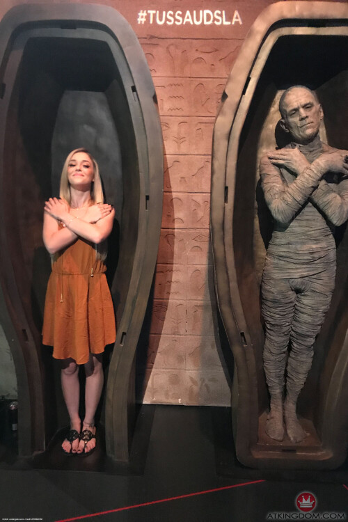 kal018ATK 37880824786b1255488354d3c