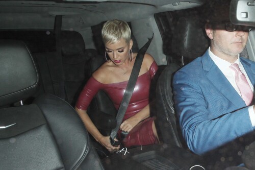 katy-perry-celebrates-her-34th202003ca4423045b528c