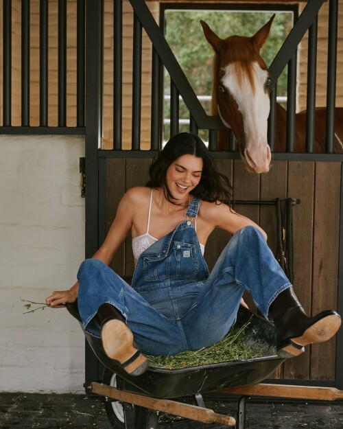 kendalljenner 17520699371504a6613f4e29ee025