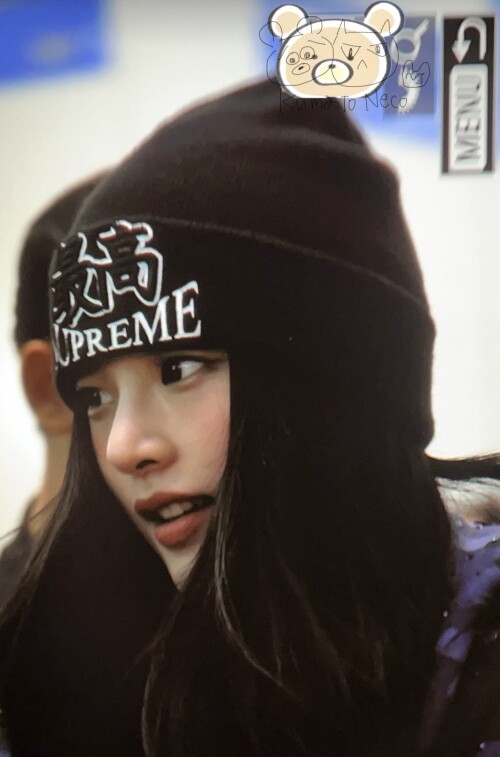  kuma neco 1872058491957018787 17312081e3d60b7f3