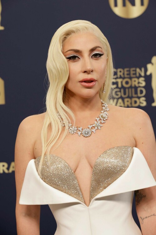 lady gaga 100673a04417b6435c