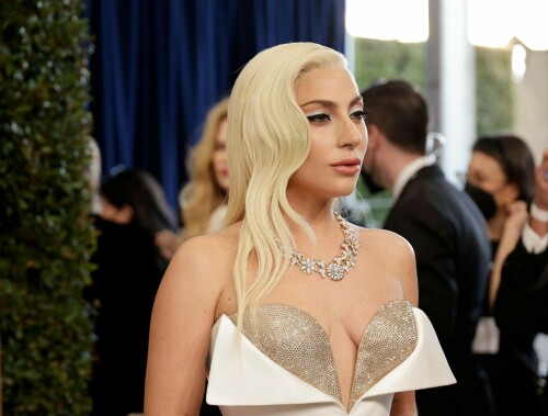 lady gaga 14791083c2b21e449a