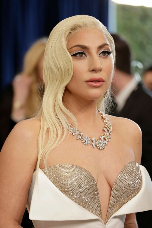 lady gaga 155ed8e3e65c636bf1