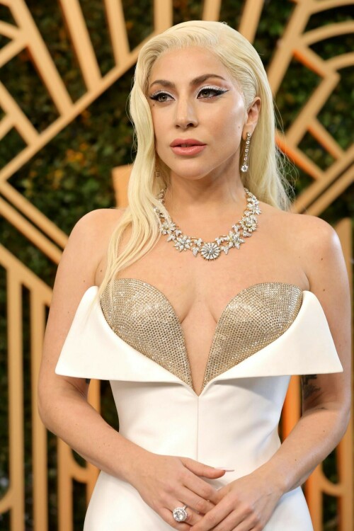 lady gaga 18f2890ff2db2bf0d5