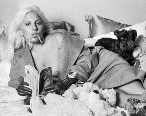 large 032.jpg.51c767e3b90a62f53a12848f3015271919de1da6e8759a91