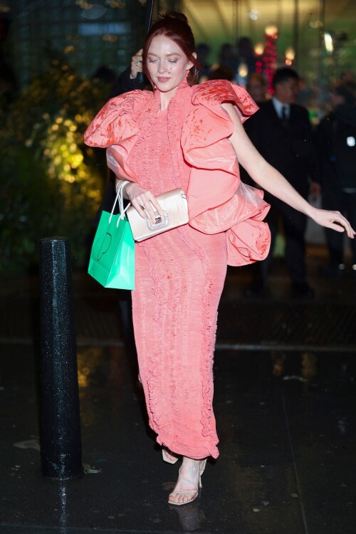 larsen2 286b9e87cfa85196cb