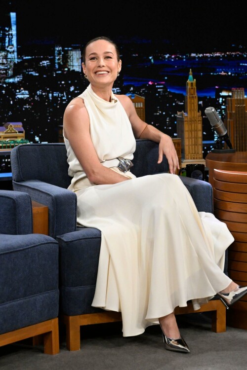 larson 7 48ae13f6bf0964fb