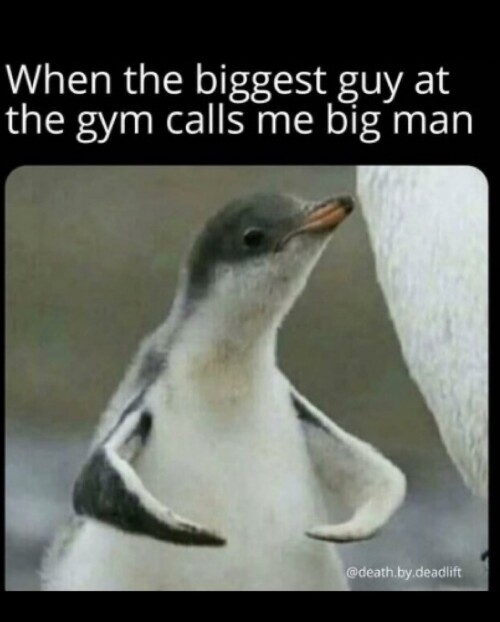 leanbeefpatty CMiSyYfjDWS 6