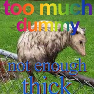 leanbeefpatty---CPv9LmCD9-s---793a4fd9dceec6989