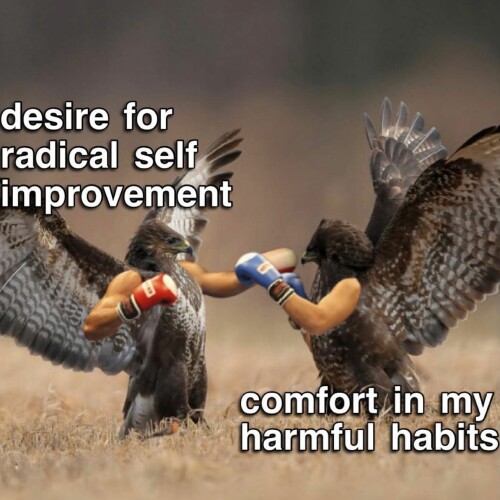 leanbeefpatty CQcArp7jvxp 3