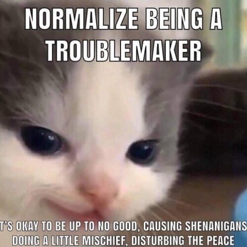 leanbeefpatty CT74JTOBSFi 5