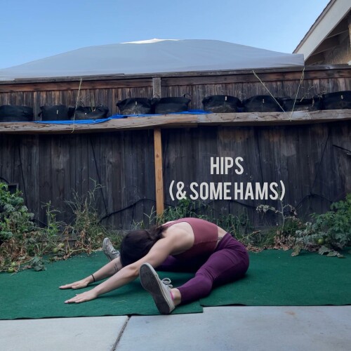 leanbeefpatty CTAsjA5hAnU 05