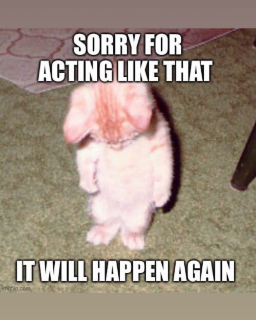 leanbeefpatty CTflTq3hA3a 7