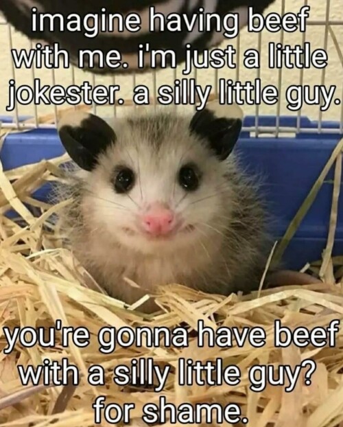 leanbeefpatty CVTeWYvhqoU 8