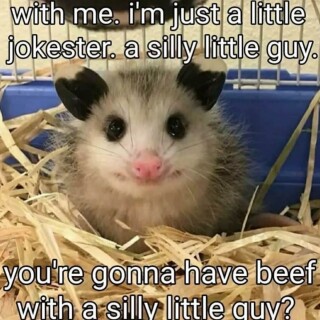 leanbeefpatty---CVTeWYvhqoU---84da3dad9e745f024