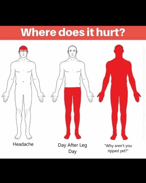 leanbeefpatty CVyOLYwPeDf 08