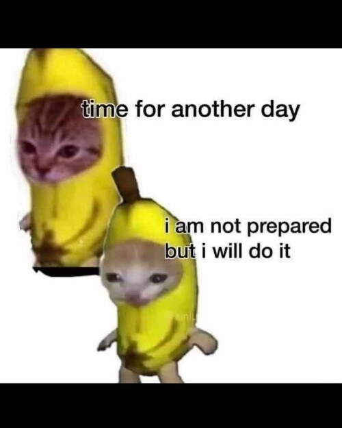 leanbeefpatty CVyOLYwPeDf 10