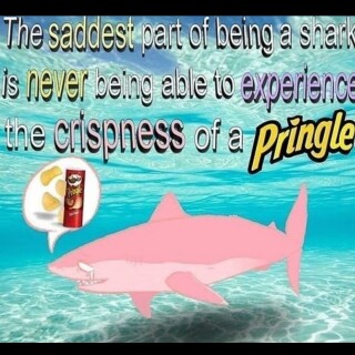 leanbeefpatty---CWrEUpWhs4h---8e75c4109317fd5e9