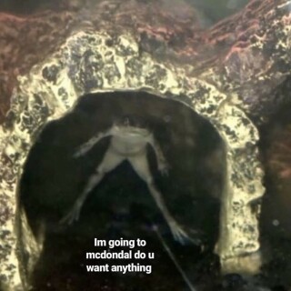 leanbeefpatty---CXCS2ctqCCu---091a4b2d885357f902