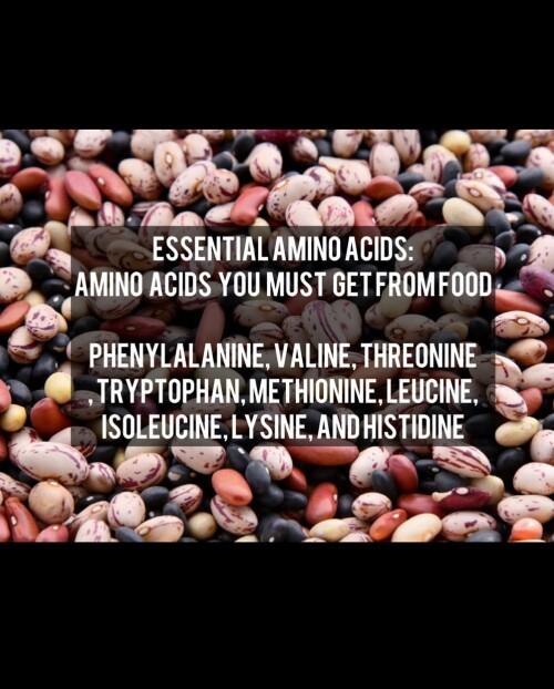 leanbeefpatty CZ911 1F94j 4