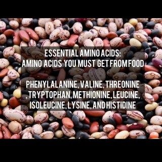 leanbeefpatty---CZ911_1F94j---4aa95e955b9f398ad