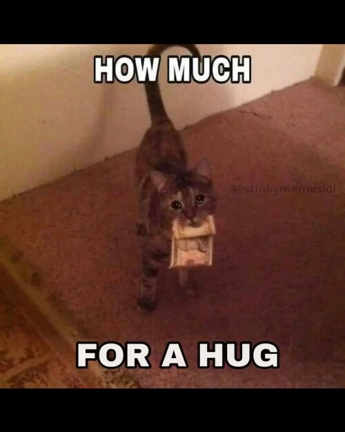 leanbeefpatty Ca kUX9vzZ5 08