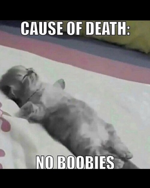 leanbeefpatty Cb0n AQvRIU 09