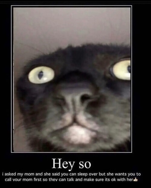 leanbeefpatty CbS jWvFQI 10