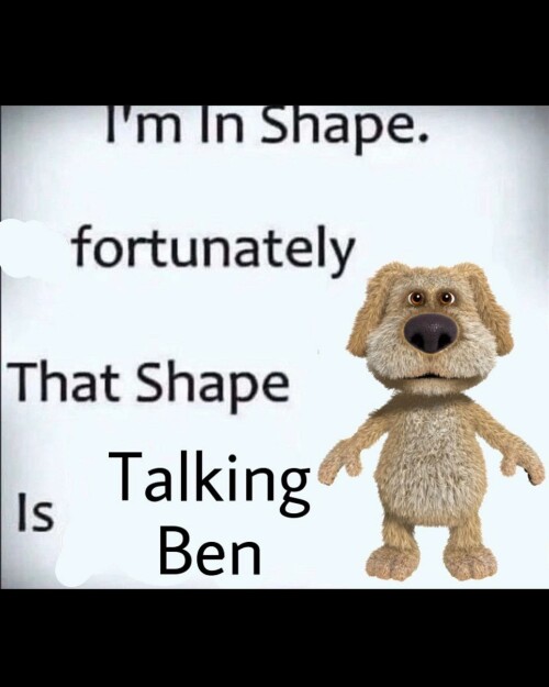 leanbeefpatty CcLuN kPdsO 06