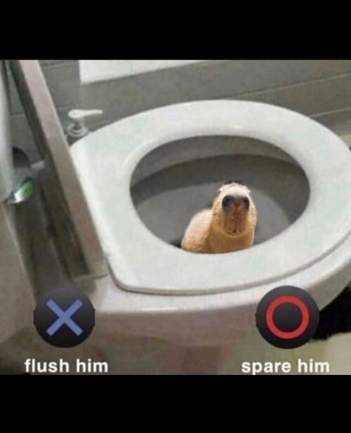 leanbeefpatty CdGwTPTpya5 2