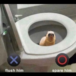 leanbeefpatty---CdGwTPTpya5---21ef8b3c6bfb37b7f