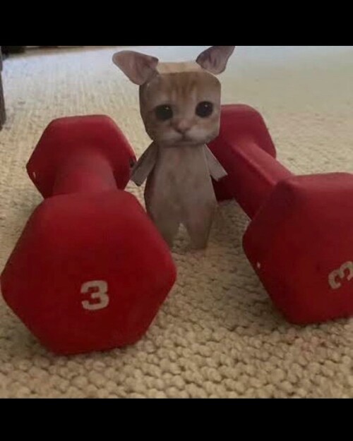 leanbeefpatty CeEzjjvPfxT 10