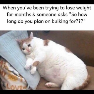 leanbeefpatty---CfM2yS6veN----08ee7b3b8171392fcf