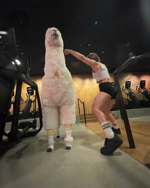 leanbeefpatty CfpA8rFPvVC 04