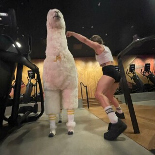 leanbeefpatty---CfpA8rFPvVC---04c68f3d69f0050884