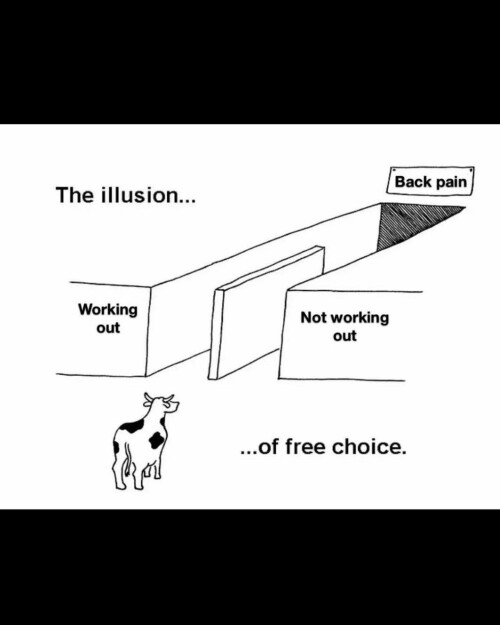 leanbeefpatty CfpA8rFPvVC 10