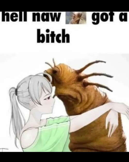 leanbeefpatty CgKtgr v6z 8