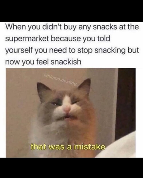 leanbeefpatty CiVoy5TPCjO 09