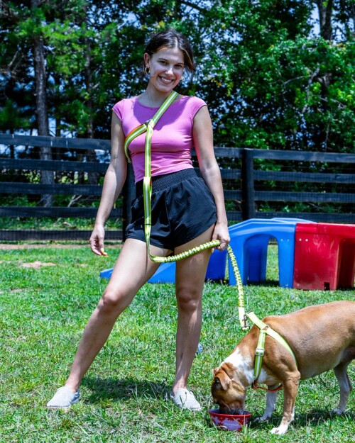 leash6d0a251bd56eb078