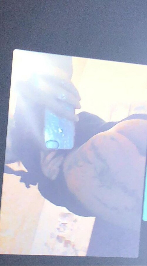 leptotyphlops 39423166380a207bee