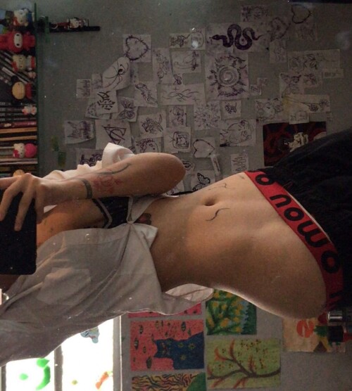 leptotyphlops 445ae153b1aa0941b8