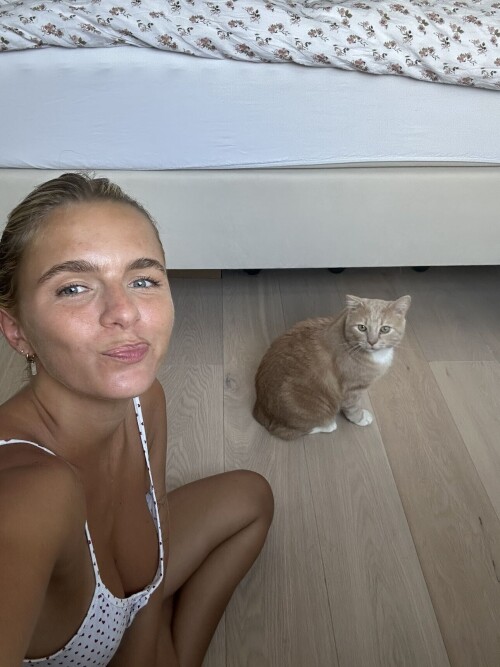 lies zhara RDownload23256779d099ae41