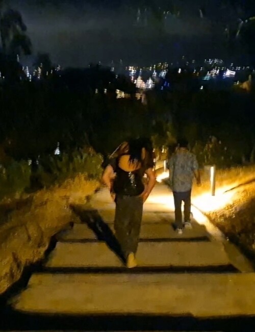 lily-37bbb589fffb8e9084