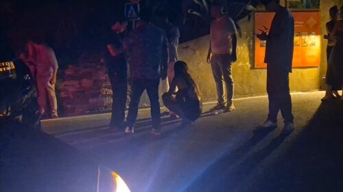 lily-40b7284512a61ac430