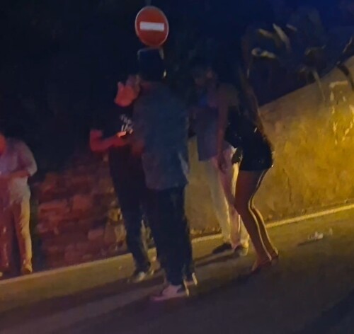 lily-416716f54215c7cd22