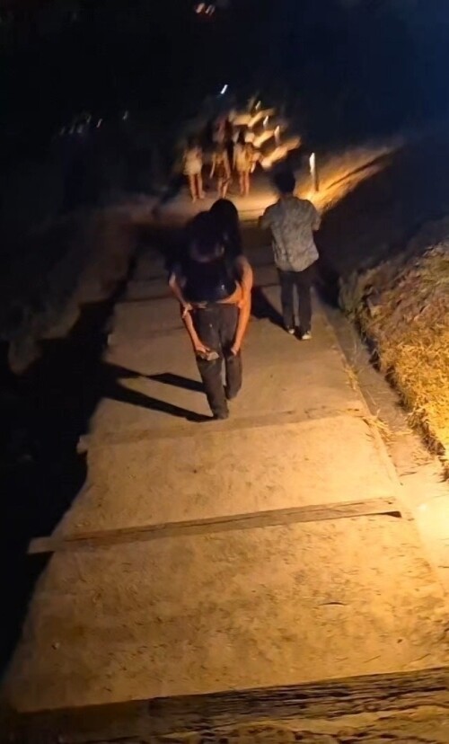 lily-6bfb12e3ca182ae60