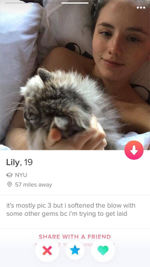 lily-tinder-part-3-c926s7nnx1-750x1334d931807dc4a22b54.jpeg