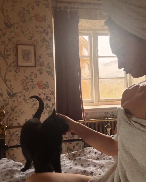 lily23a3892a3a40aa3af