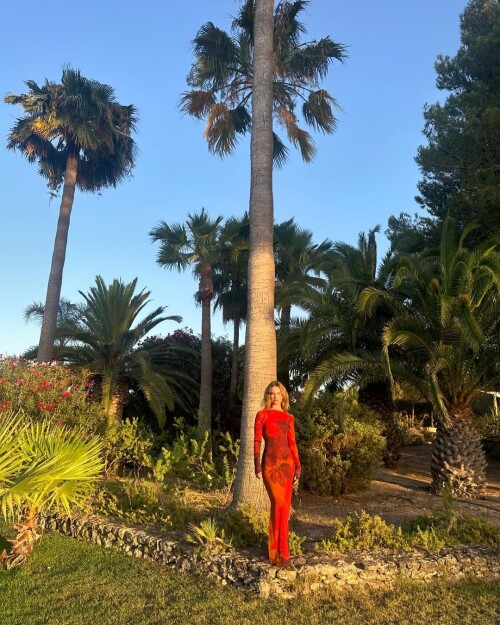 lily24b064f173d35378e